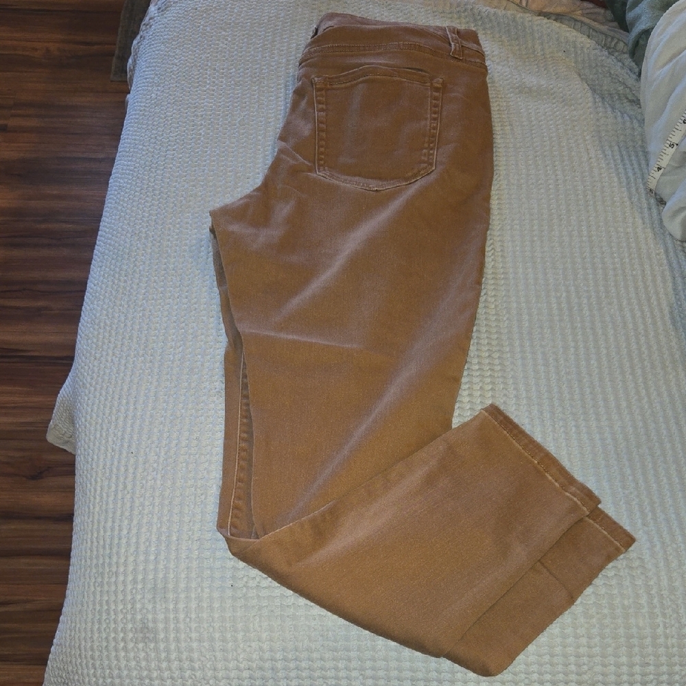 Lane Bryant Light Brown Pants